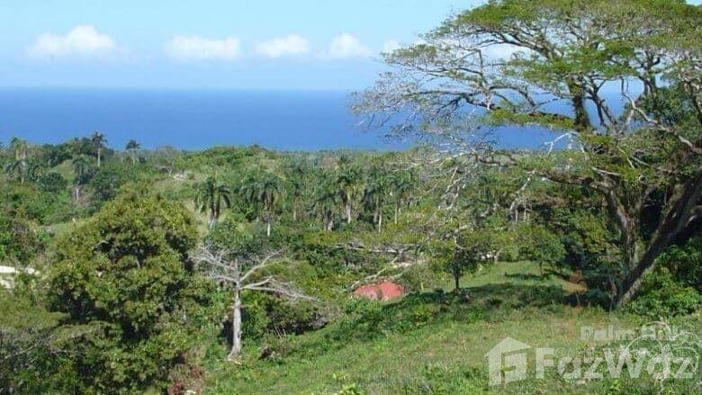Land for sale in Cabrera Hills — photo 4