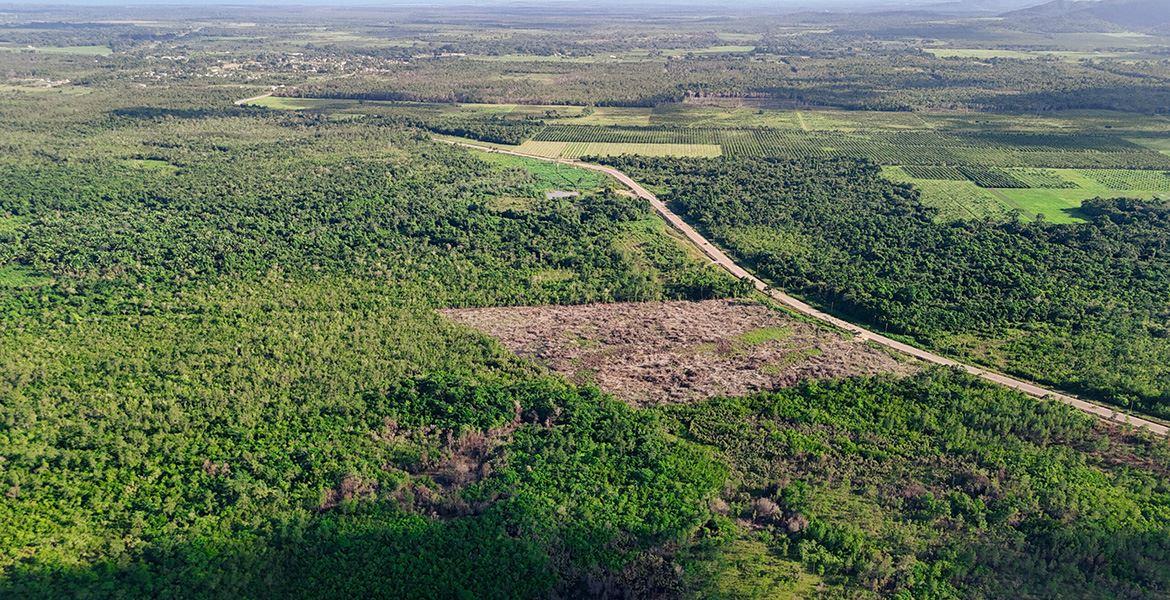 21 Acre Lot on Coastal Road ready to develop — photo 5