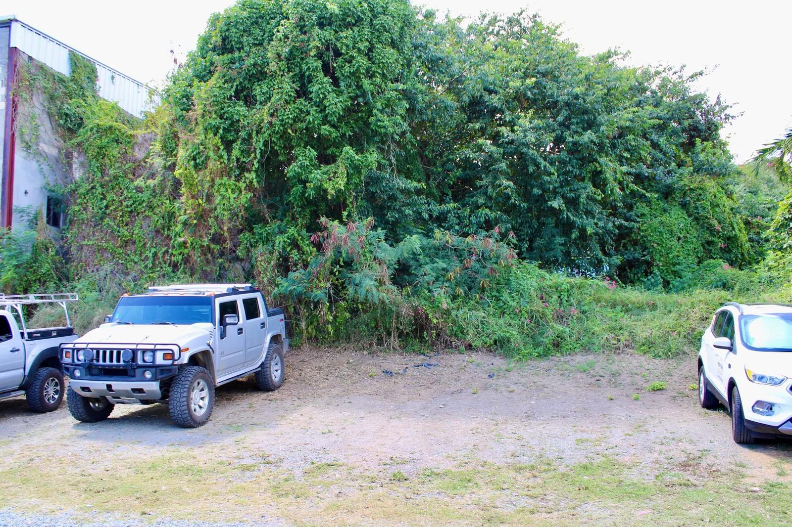 Homesite for Sale in US Virgin Islands — photo 3