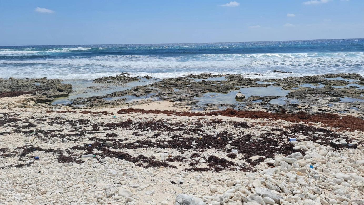 Cayman Brac East Oceanfront 1.25 Acres — photo 3
