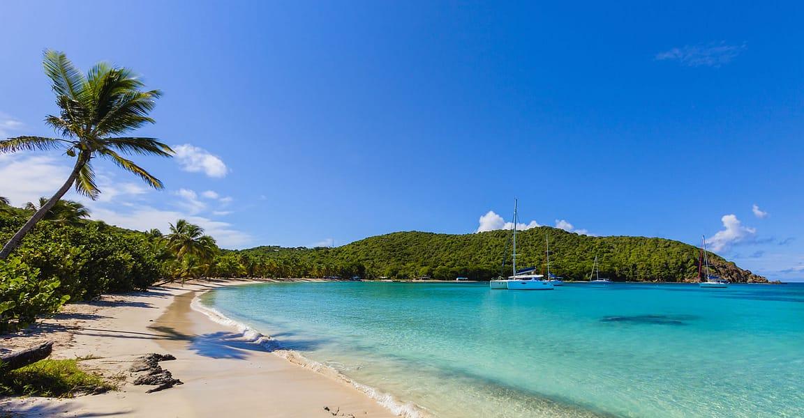 22 Acres Beachfront Land for Sale, Salt Whistle Bay, Mayreau, St Vincent & the Grenadines — photo 3