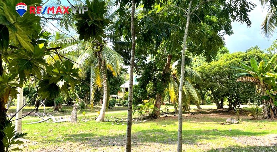 Restaurant for Sale in Up and Coming Beach Community — photo 5