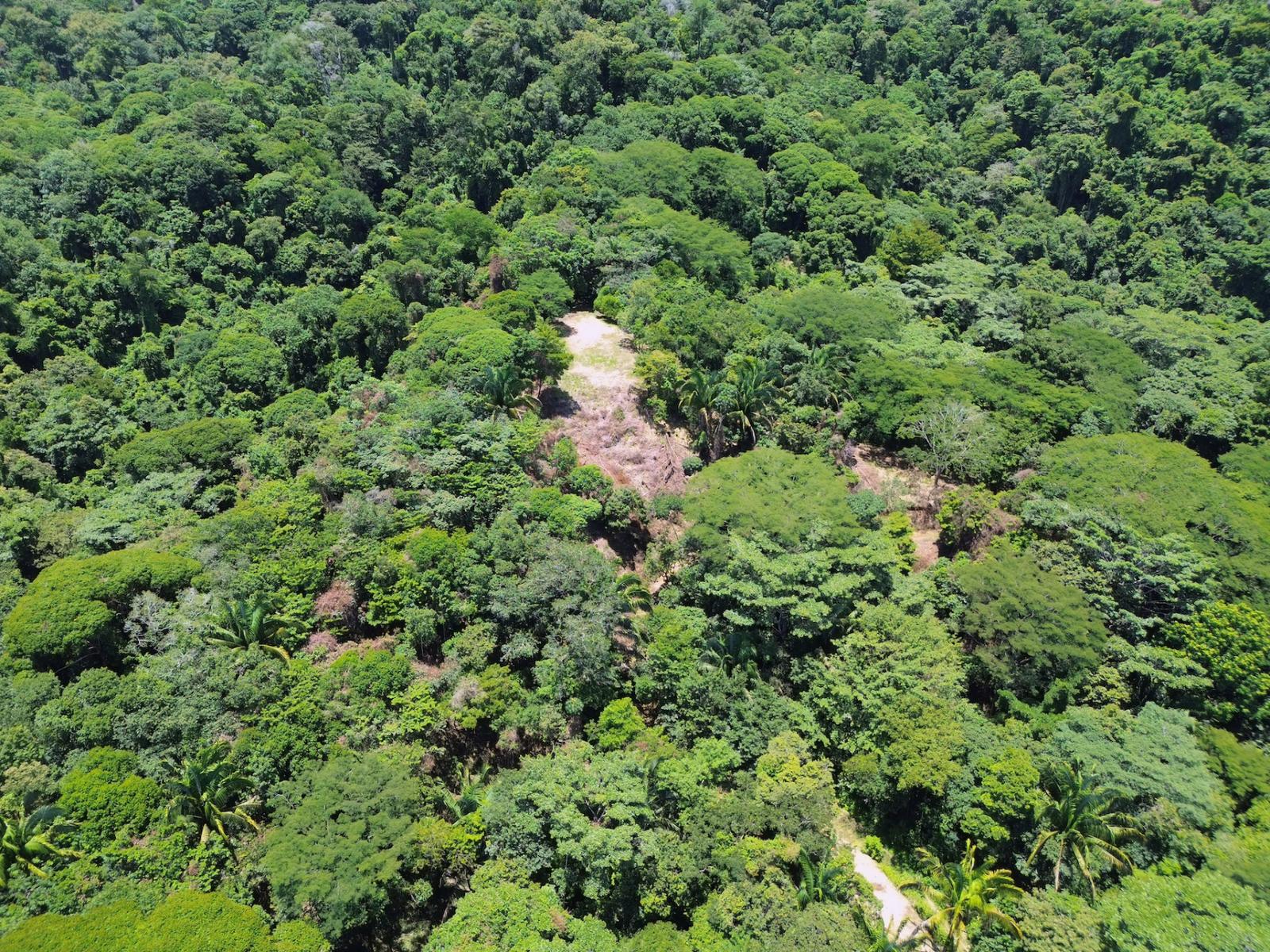 61.78 Acres of Farm Land for Sale, Escaleras, Dominical, Puntarenas, Costa Rica — photo 5