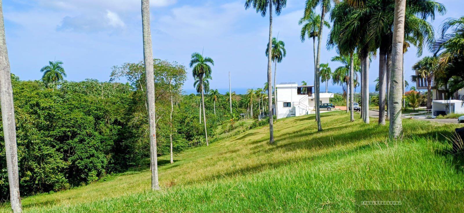 Oceanview Residential Lot in La Mulata, Sosúa — photo 1
