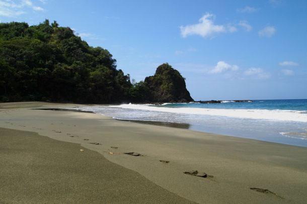 100 Acres of Land for Sale, Cotton Bay, Tobago — photo 3