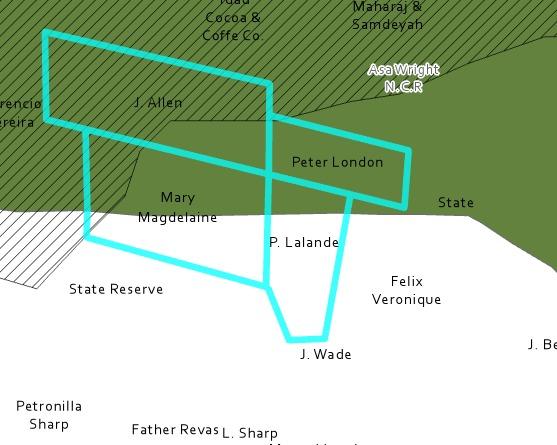 45 Acres of Virgin Land on the Northern Range — photo 4