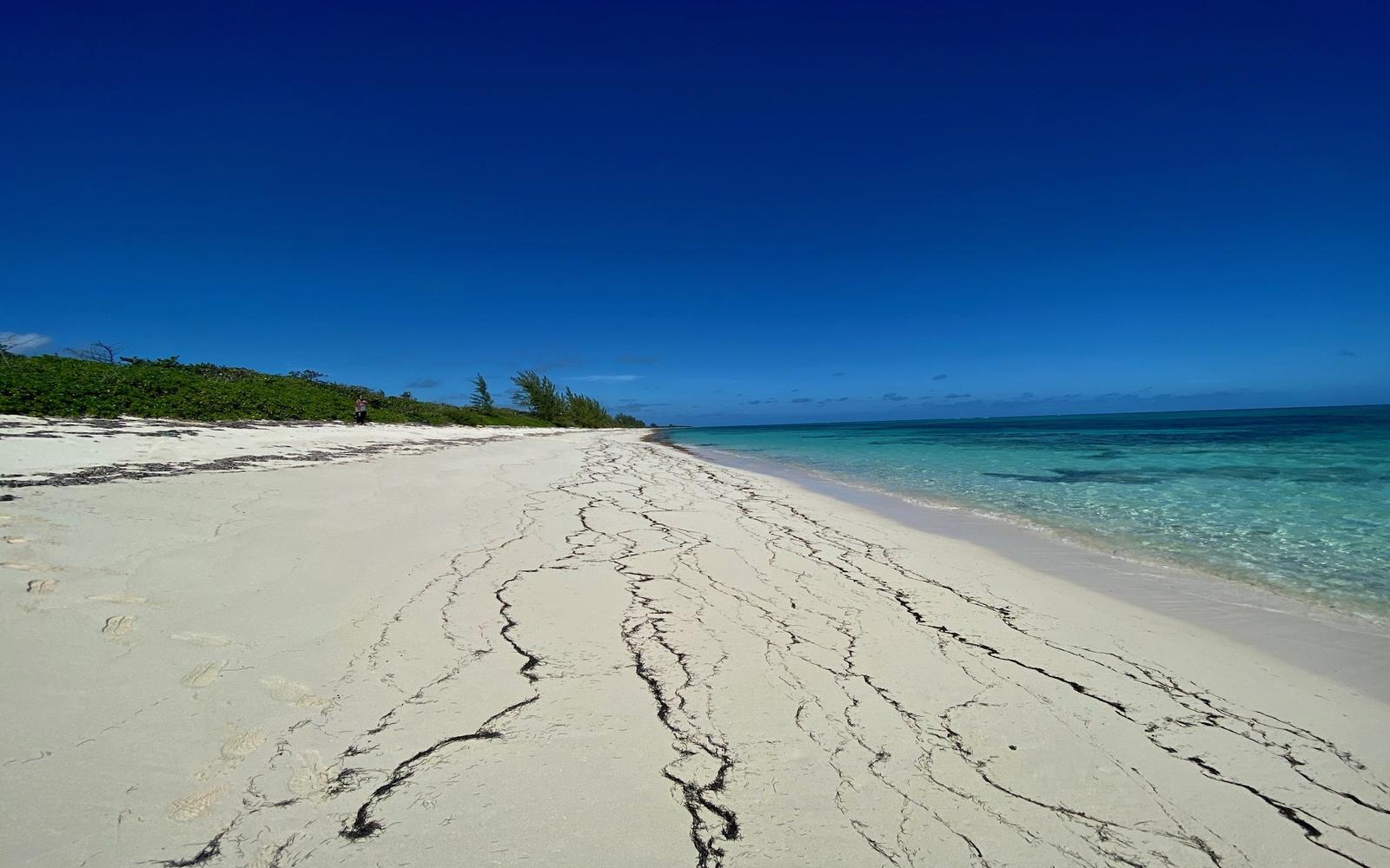 484 Acres Beachfront Land for Sale, Old Bight, Cat Island, Bahamas — photo 5