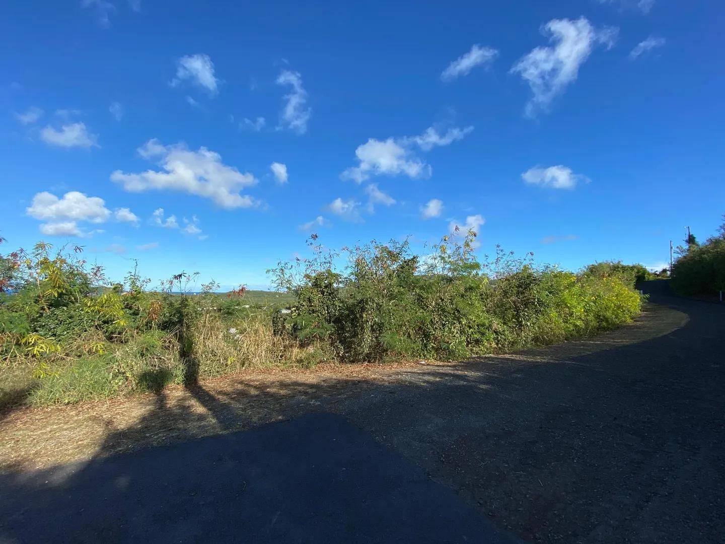 Homesite with Buck Island & Green Cay views — photo 5