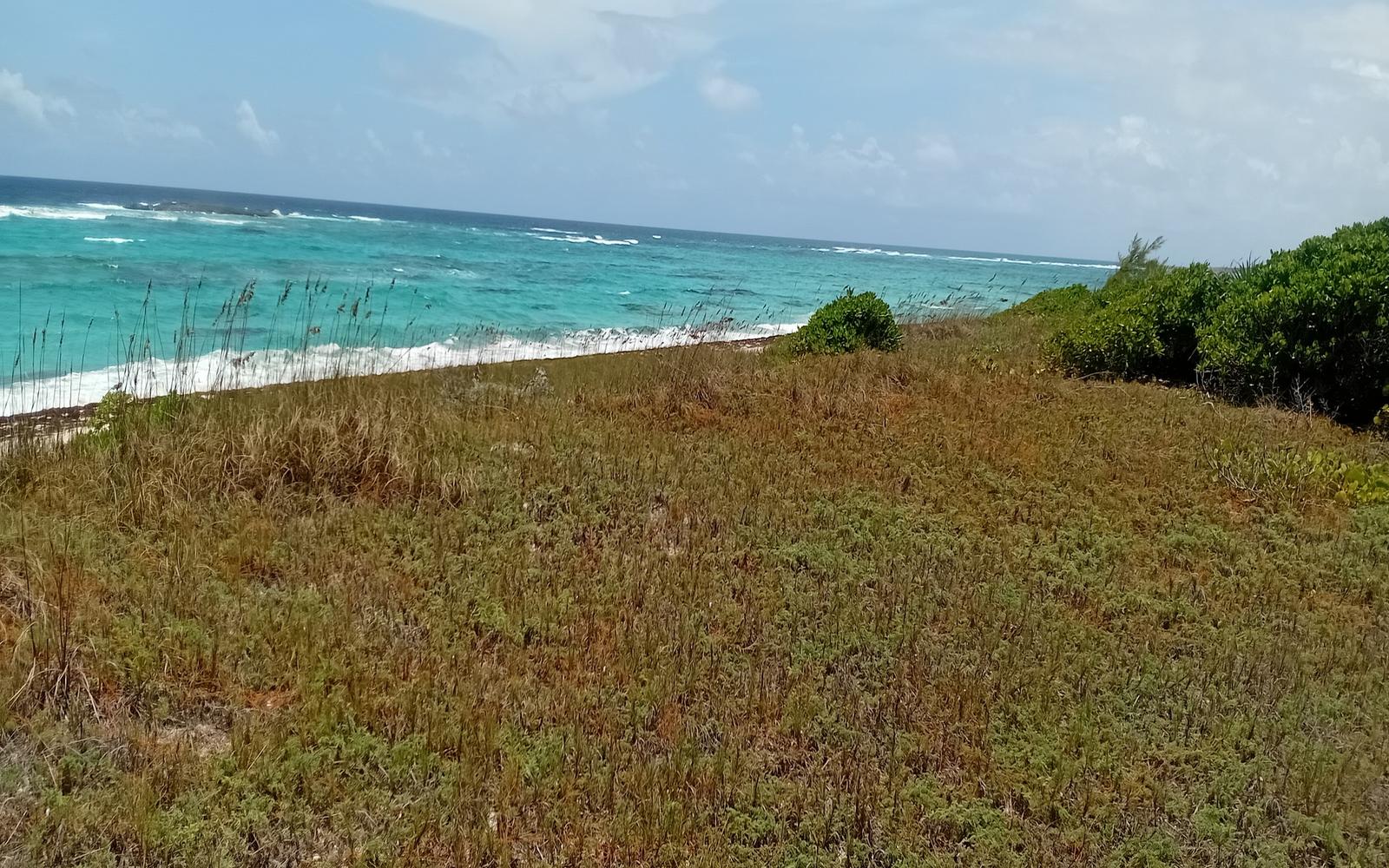 Beachfront Lot, 29.82 Acre - MLS 68148 — photo 3