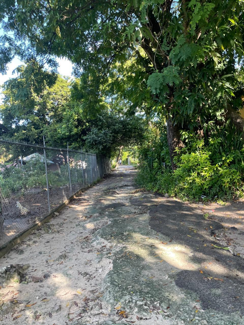 1 Fox Hill — photo 2