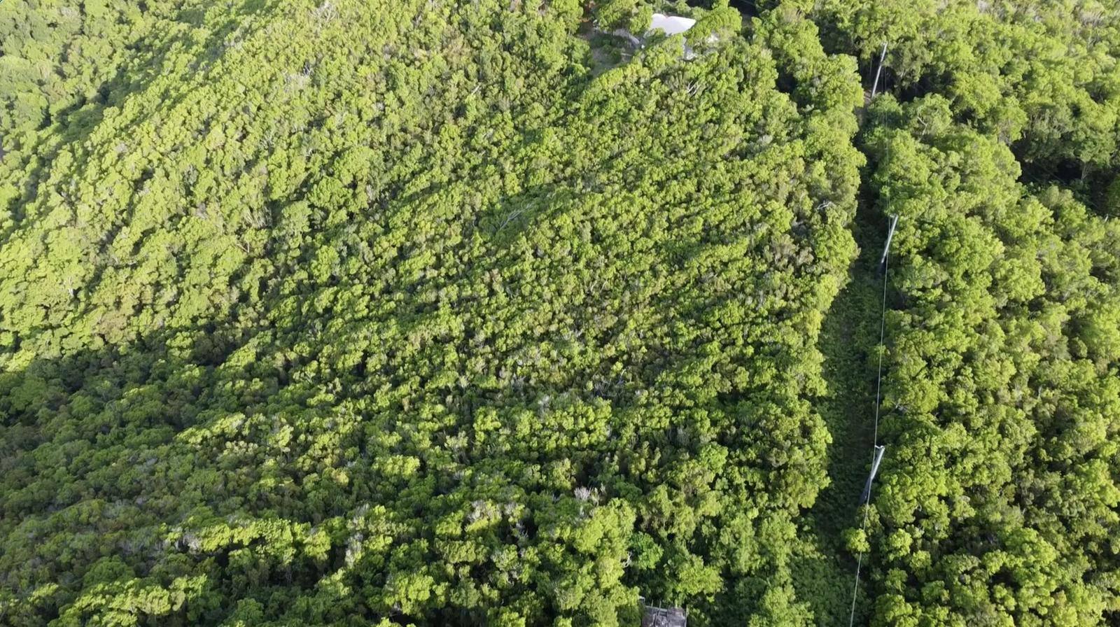 1.99 Acre Homesite with Views in Bellevue Co — photo 4
