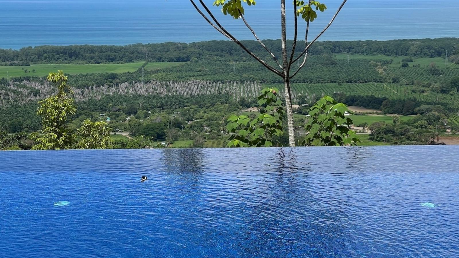 3 Bedroom 6.5 Acre Home for Sale, Portalon, Manuel Antonio, Puntarenas, Costa Rica — photo 3