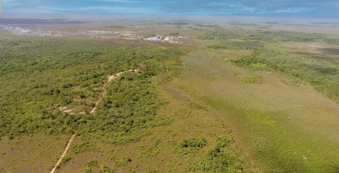 1,456 acre property near Hattieville — photo 2