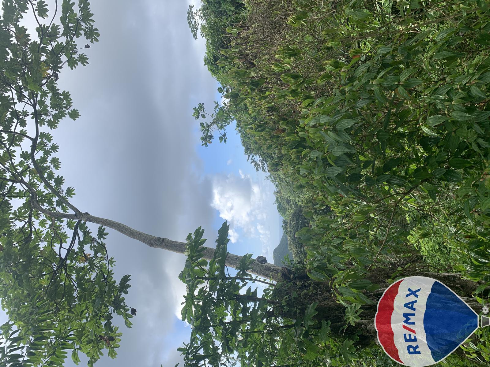 Hillside Land Opportunities with Scenic Mountain Views in Desrameaux — photo 5