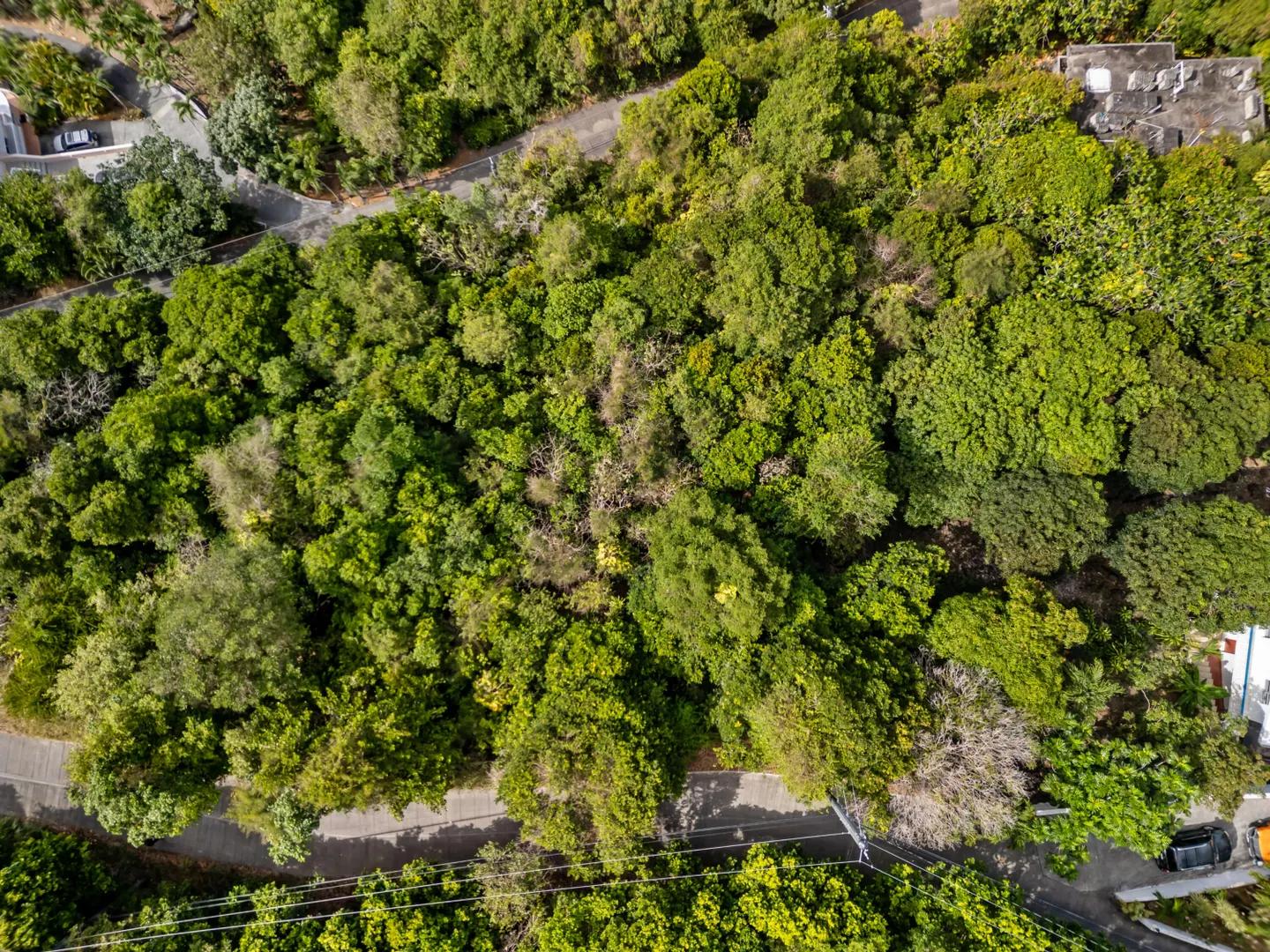 0.53 Acre Homesite in Dorothea, US Virgin Islands — photo 1