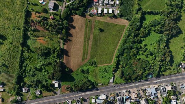 Land in Bo. Caimital Alto, Aguadilla — photo 4