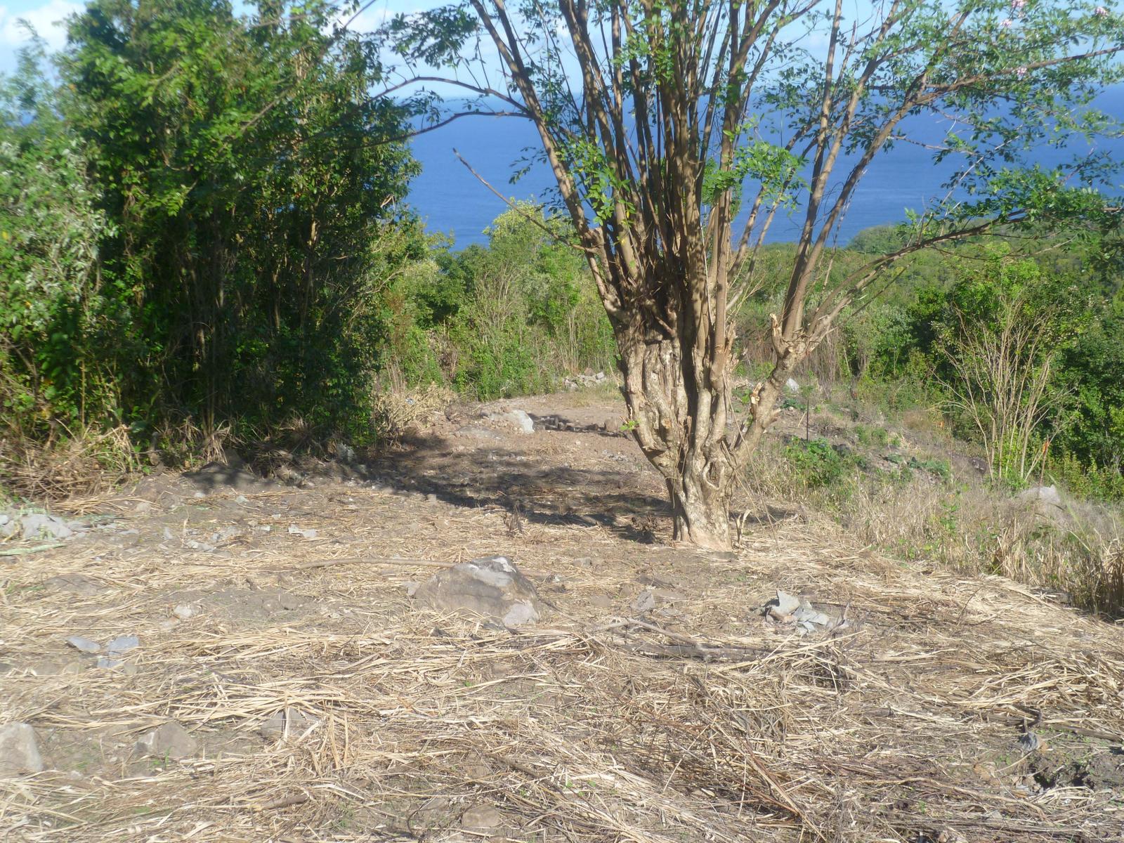 Tranquil Luxury Land Parcels in Anse Verdue, Saint Lucia — photo 2
