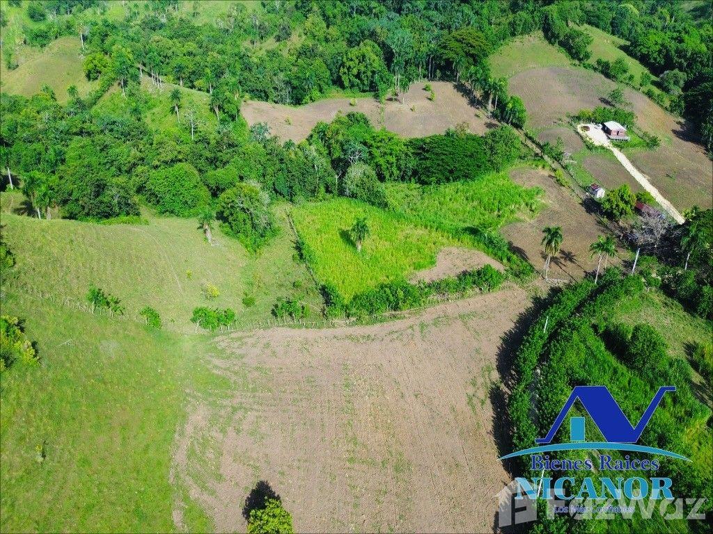Cattle ranch for sale in Puerto Plata, 278 tareas — photo 4