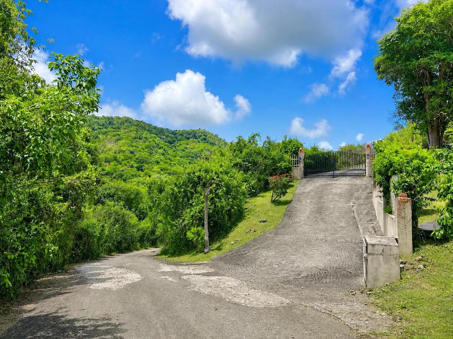 1.59 Acre Homesite in Orange Grove Estates, St. Croix — photo 4