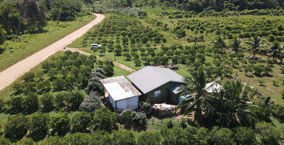 282 Acres of Picturesque Jungle near the Maya Mountains — photo 3
