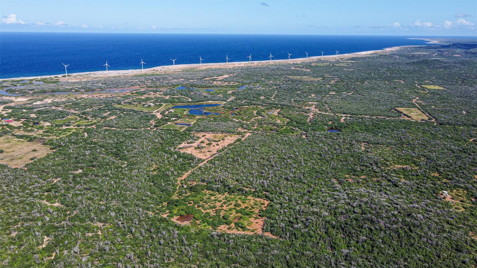 Bonaire Full Ownership Land — photo 4