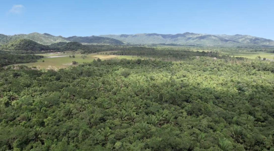 24 acres on the Southern Highway — photo 3