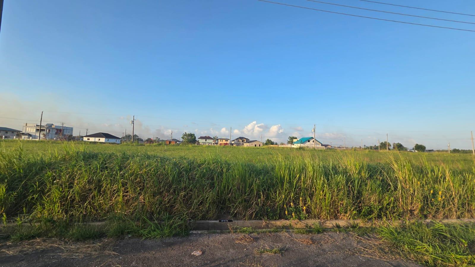 Couva Land For Sale — photo 2