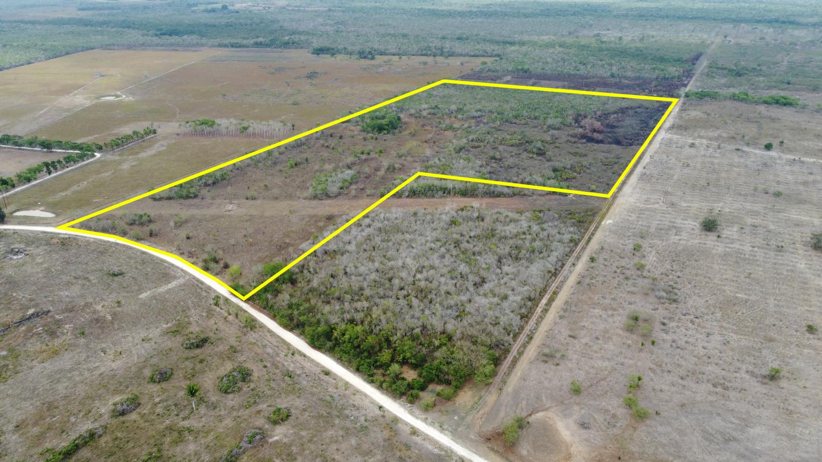 50 Acres with Road Frontage - 15 Minutes to Orange Walk Town — photo 2