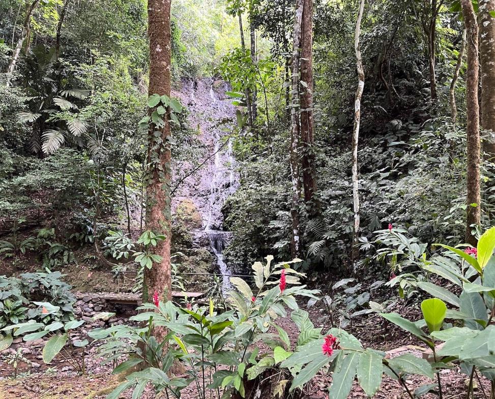 Affordable Jungle Home with a Waterfall! Puntarenas, Costa Rica — photo 2