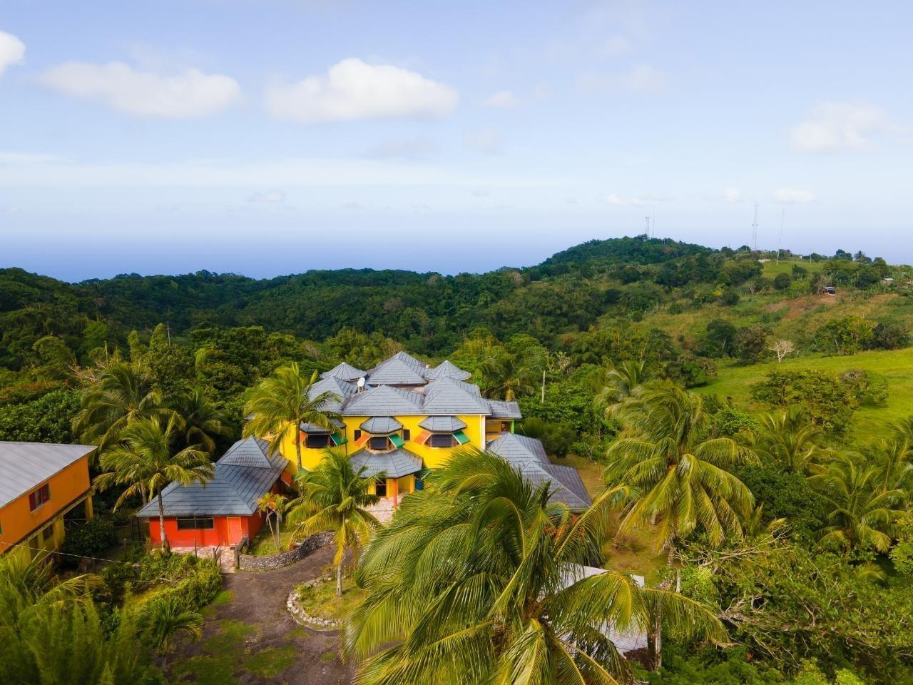 28 Acre Adventure Site & Guest House for Sale, Free Hill, St Ann, Jamaica — photo 3