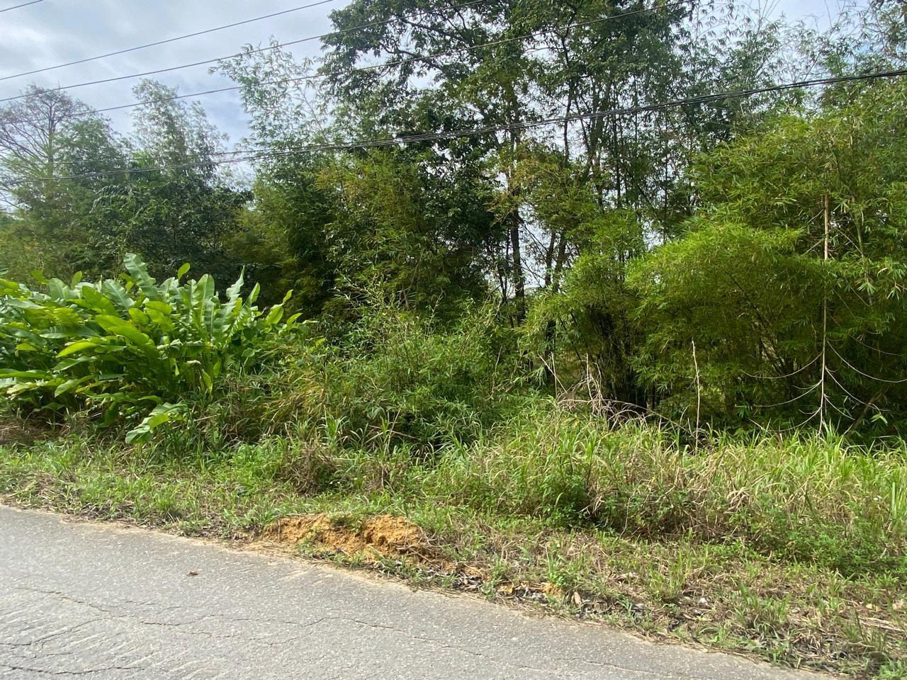 Approved Plot for Sale (6,383 sq ft) - Guaracara Tabaquite Road — photo 2