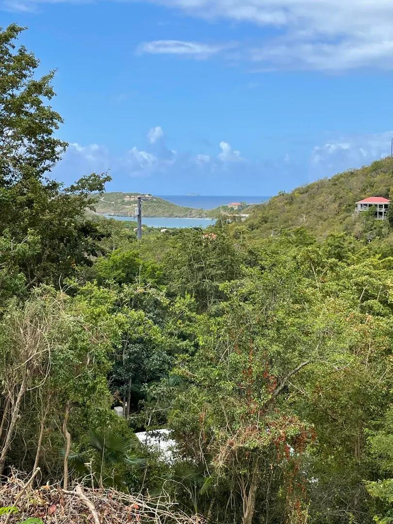 0.32 Acre Lot in Fish Bay, St John Island — photo 4