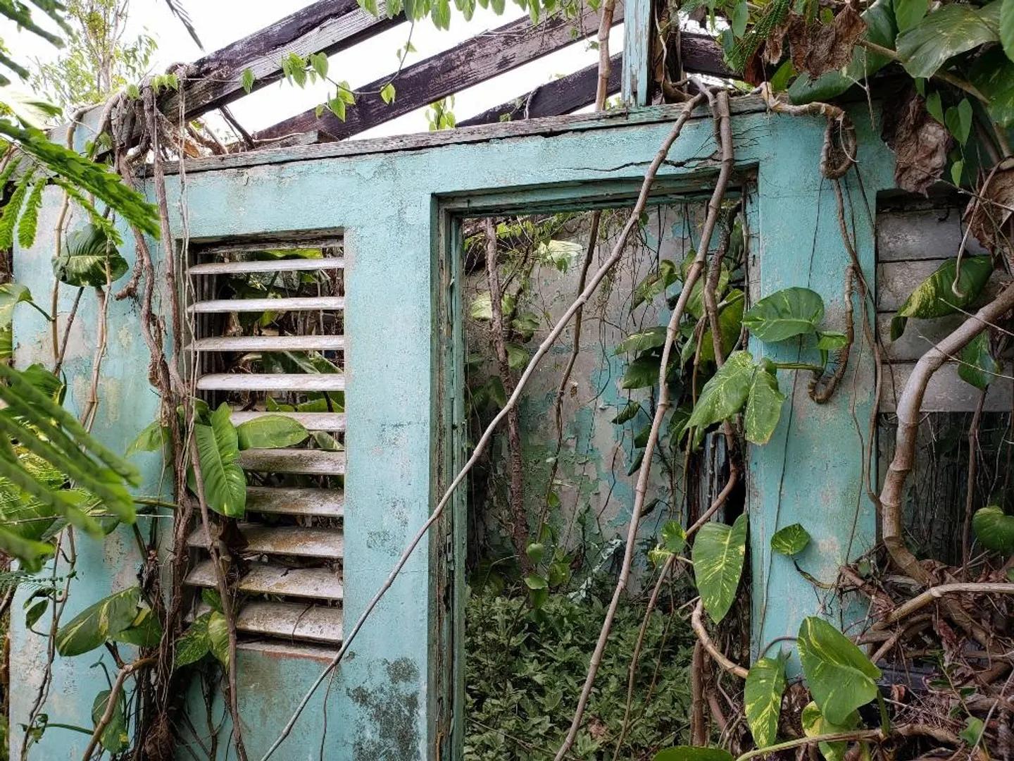 Homesite 1.02 Acre Lot in US Virgin Islands — photo 2