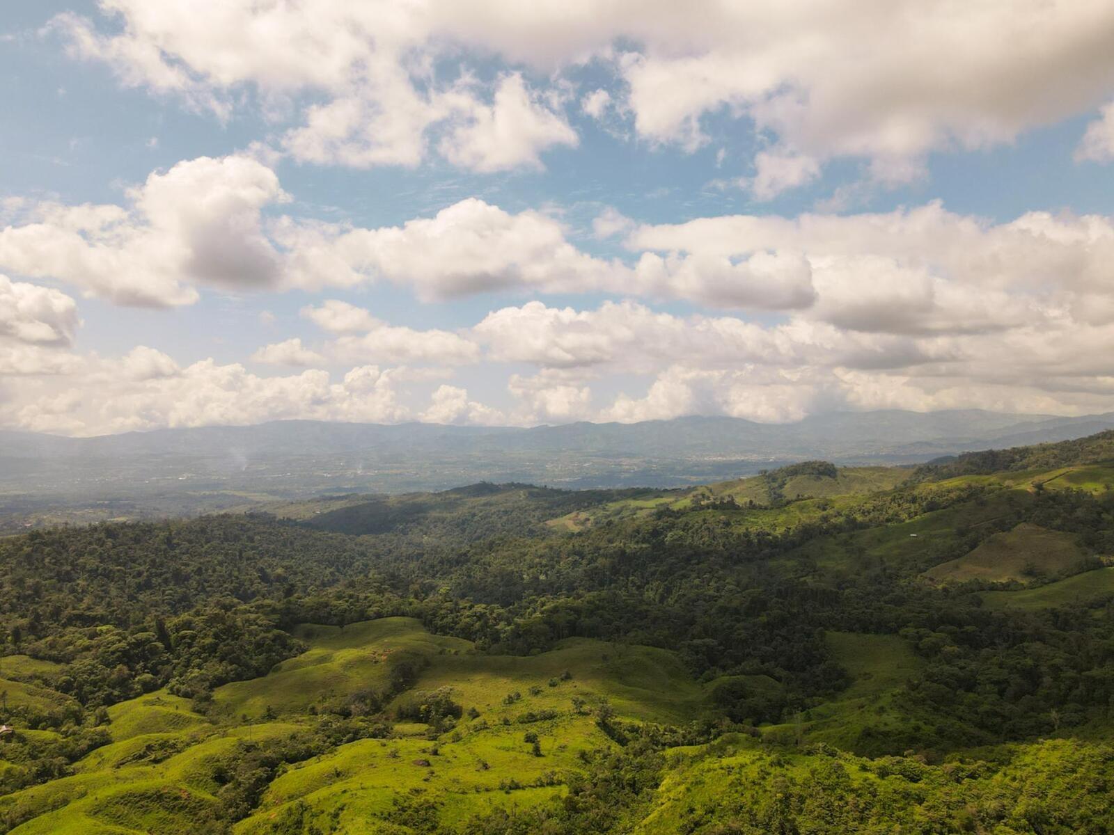 1.24 Acre Ocean-View Lot for Sale, North Santa Teresa, Costa Rica — photo 5
