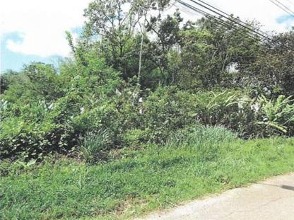 APPROVED LAND FOR SALE (3 ACRES) - SHIVAN DRIVE, SANGRE CHIQUITO, TRINIDAD — photo 2