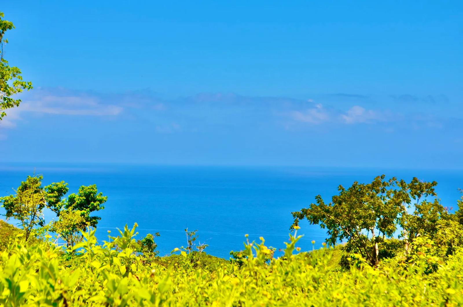 39.9 Acre Undeveloped Lot in St. Croix — photo 3