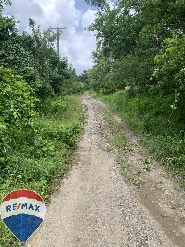 17 Acres of prime land in Choiseul - Untapped Potential — photo 2