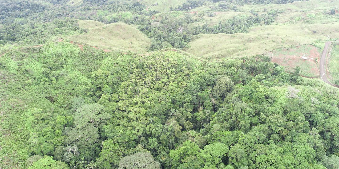 745 Acres of Forest Land for Sale, Osa, Puntarenas, Costa Rica — photo 3