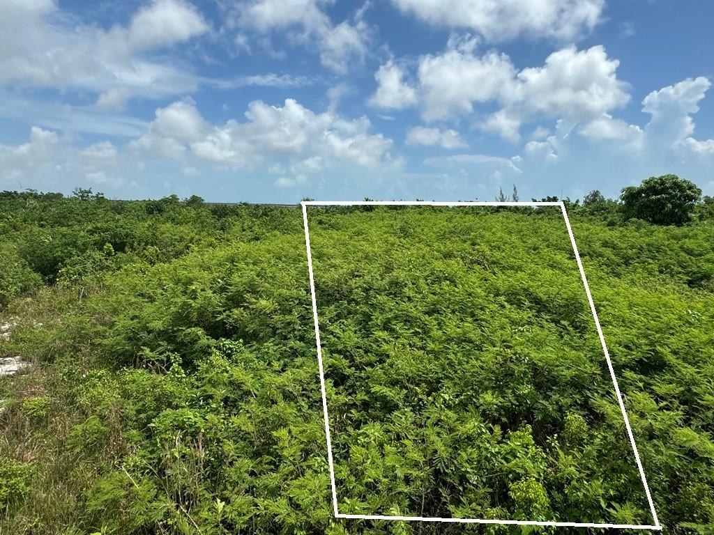 Vacant Land for sale - Lot 38b Sweetings Cay — photo 1