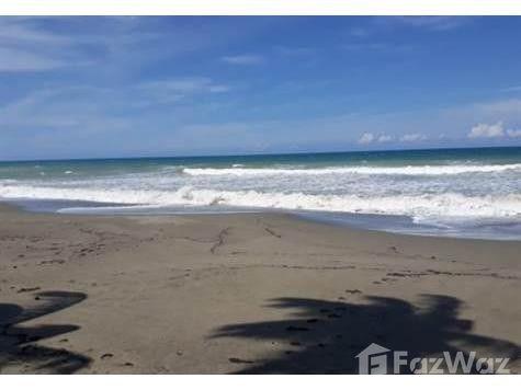 4700.04 SqM Land Plot in Gaspar Hernandez — photo 1
