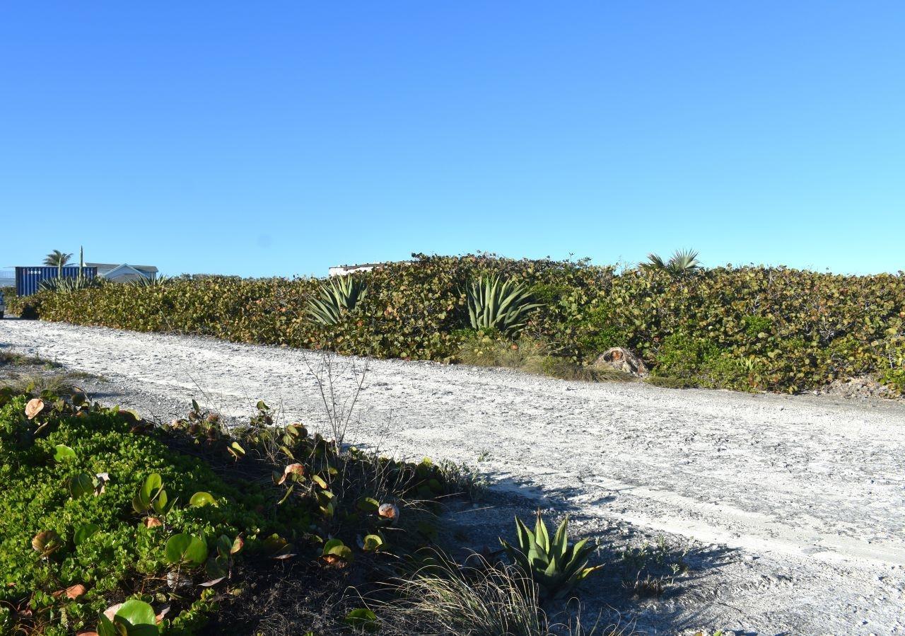 WHALE POINT ESTATES — photo 2