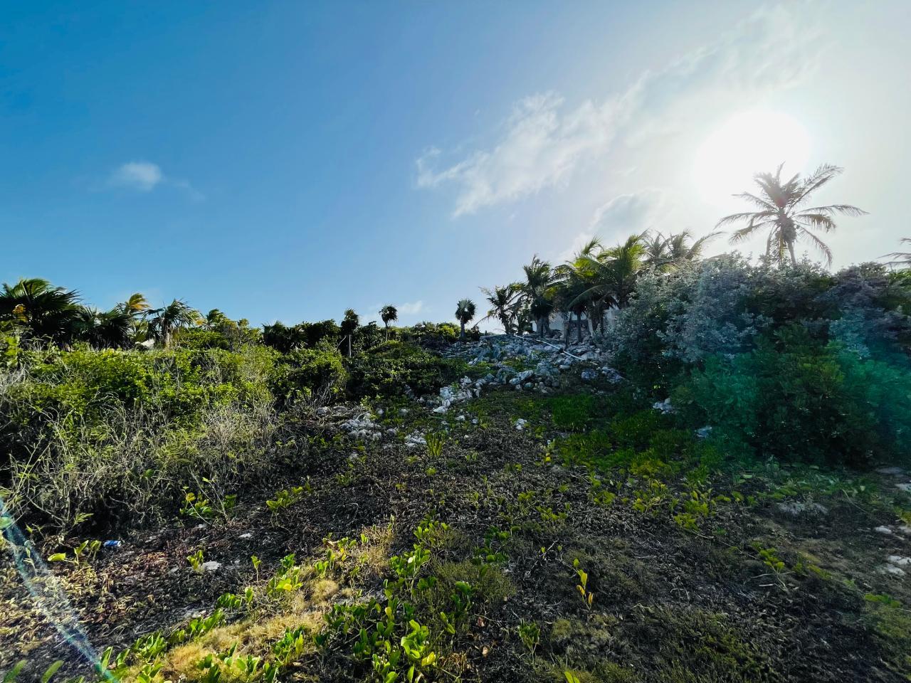 LOT 200 STELLA MARIS — photo 5