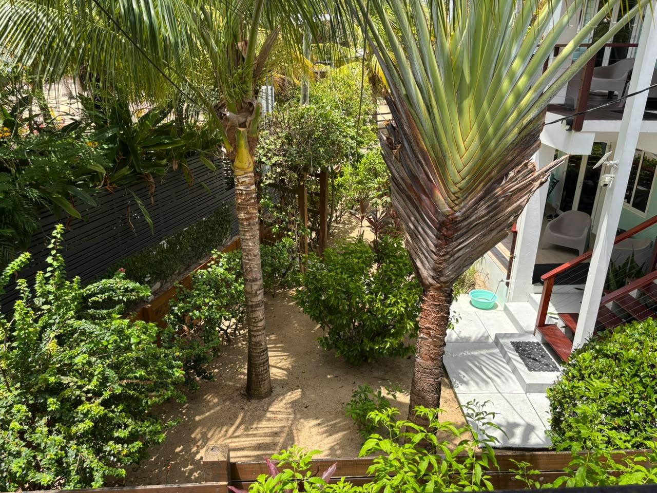H3025- One Block From Prime Placencia Beach — photo 1