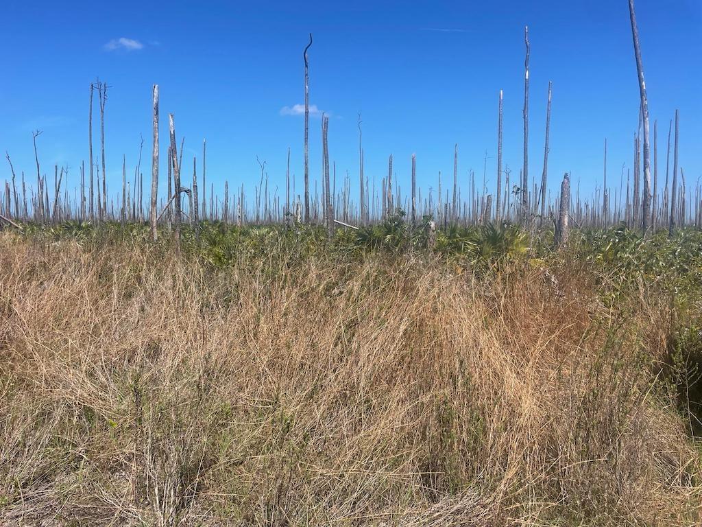 LOT 25, LUCAYA ESTATES — photo 4