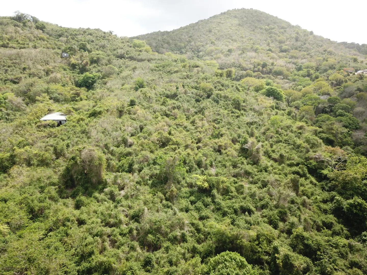 1.16 Acre Lot with Panoramic Views in St. George Pr — photo 1