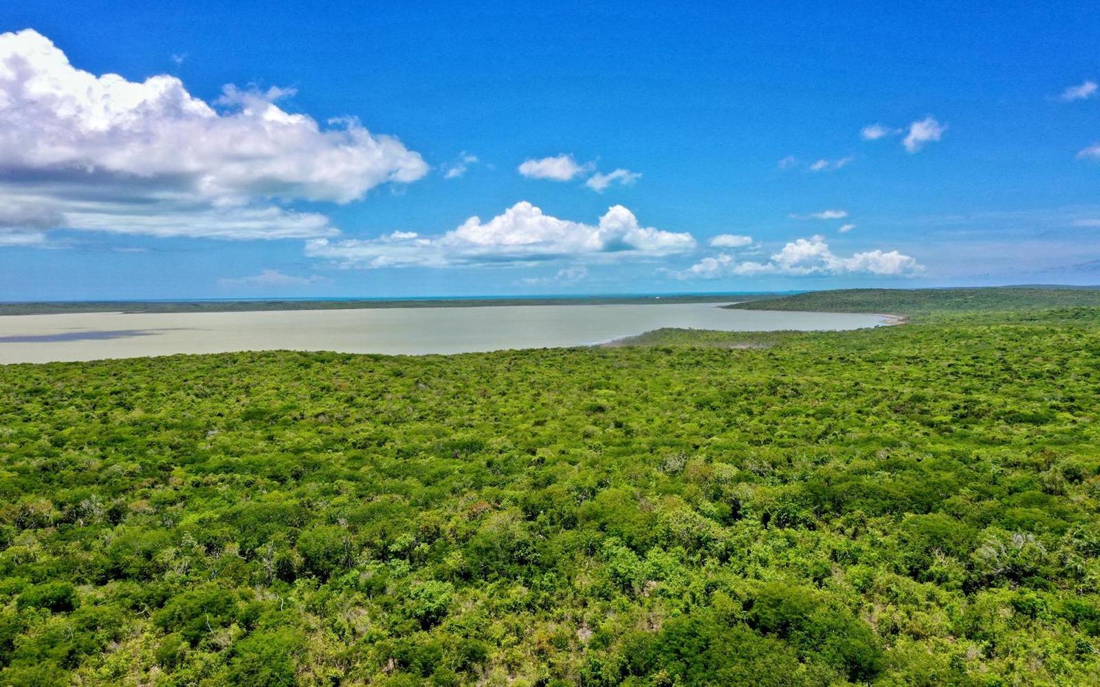 Vacant Land for sale - 4 Acres, Port Howe — photo 5