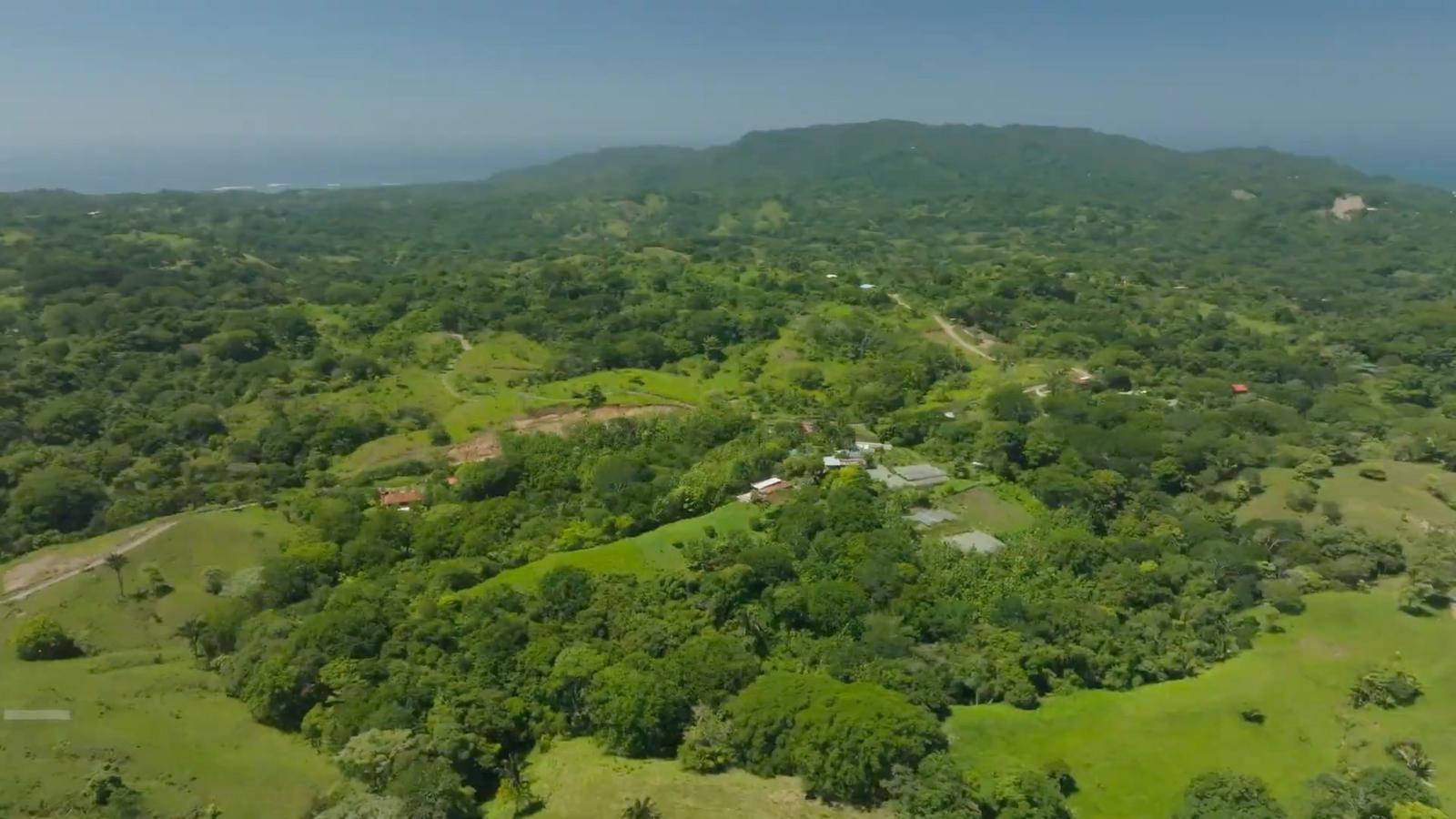 Organic Farm with Five Homes — photo 1