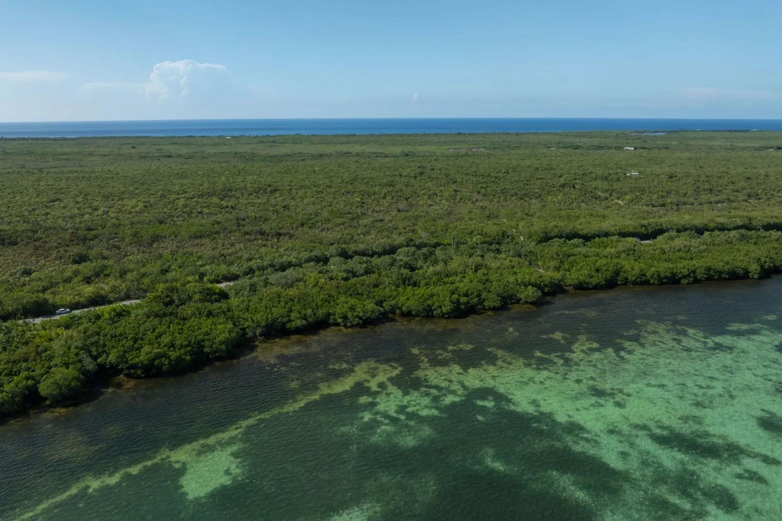 9.5 Acres Beachfront Land for Sale — photo 3