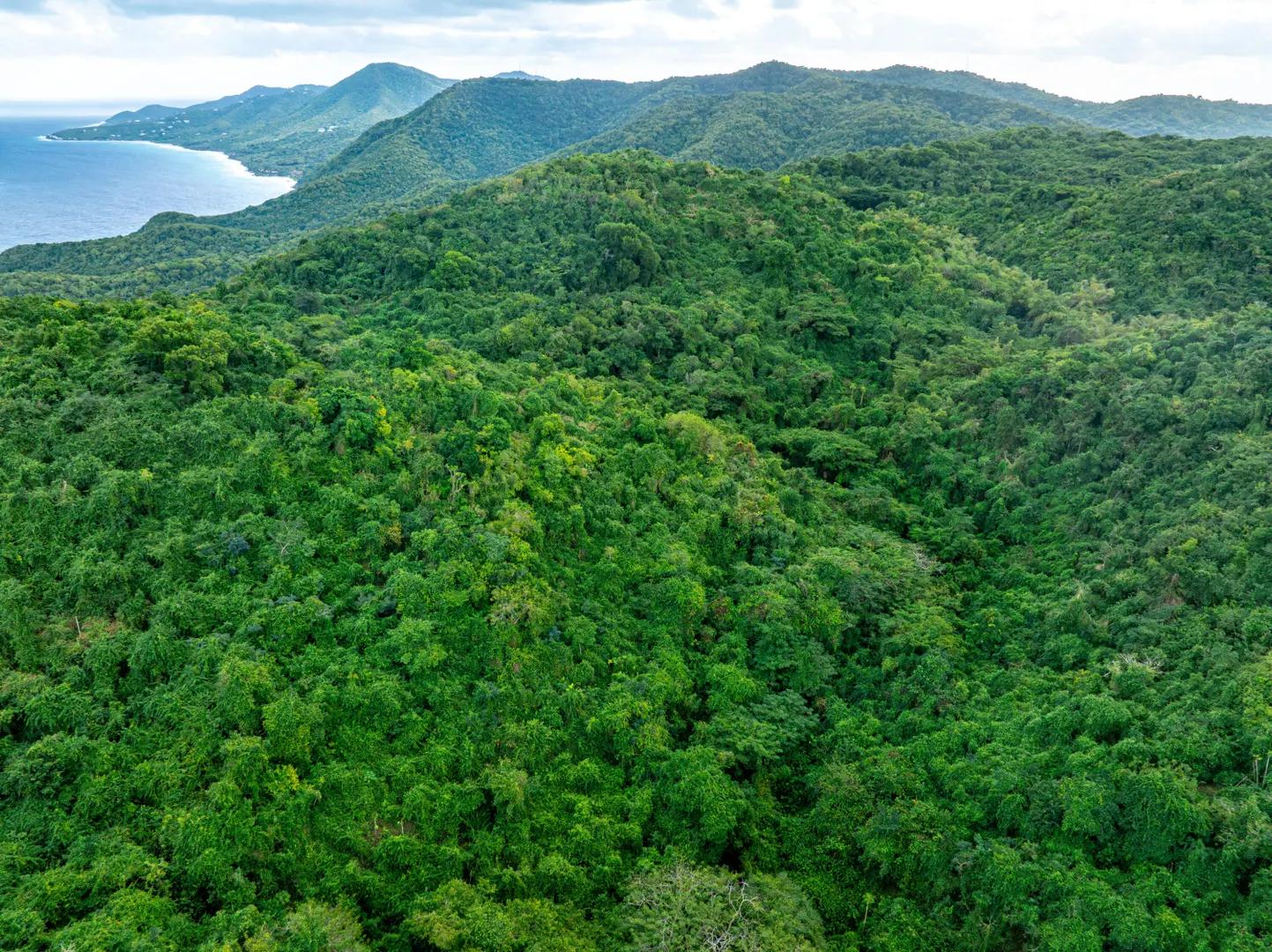 1 Acre Homesite in Spring Garden, St. Croix — photo 1