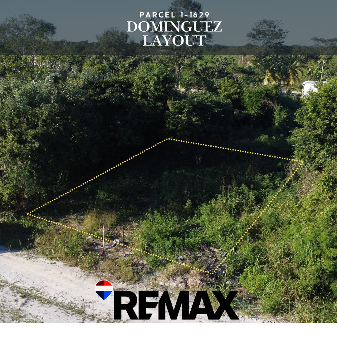 Land Opportunity – Venezuelan/Dominguez Layout, Corozal Town — photo 4